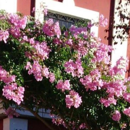 Casa Bignonia Villa Salteras Екстериор снимка