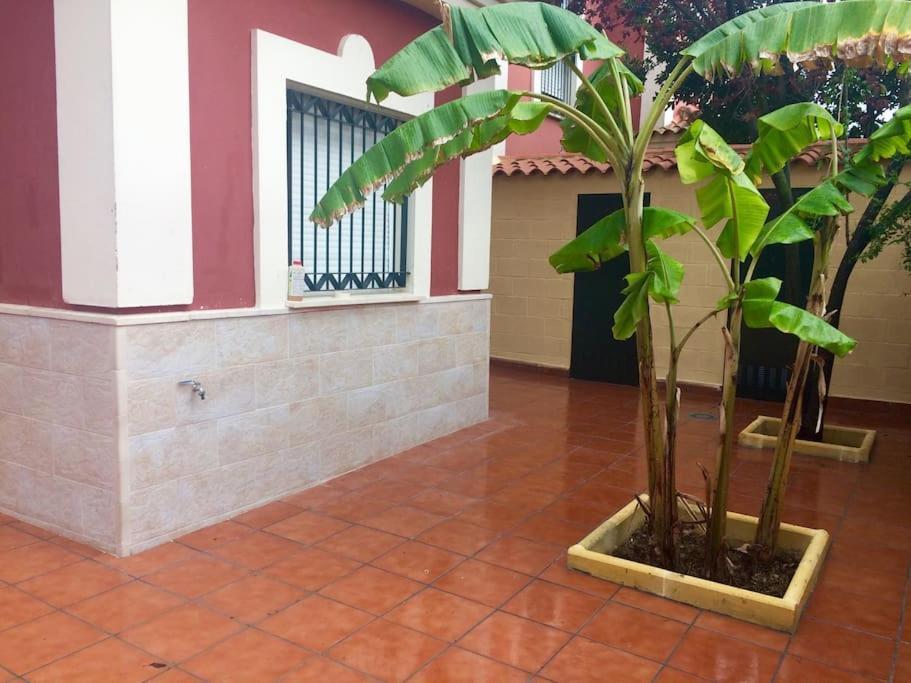 Casa Bignonia Villa Salteras Екстериор снимка