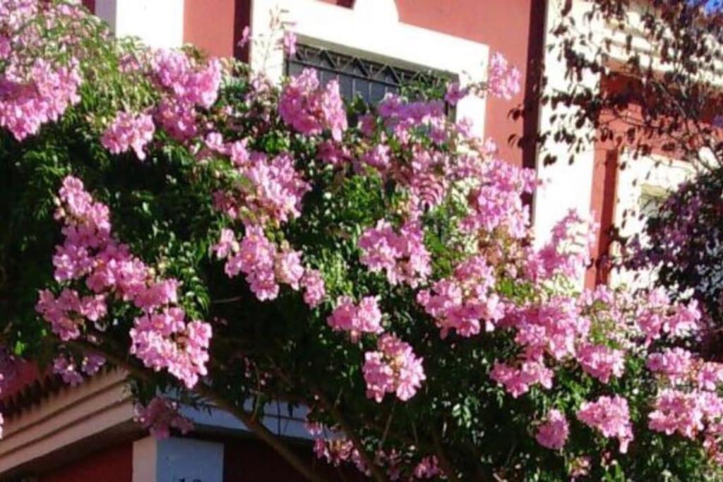 Casa Bignonia Villa Salteras Екстериор снимка